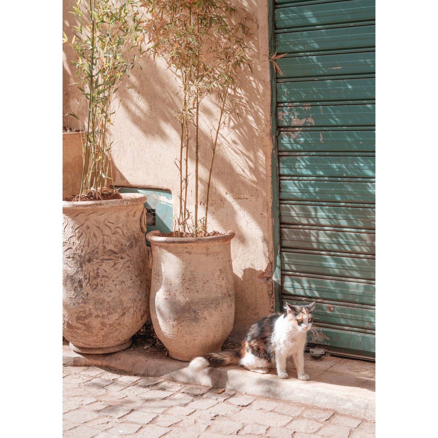 Blumentopf Medina Poster