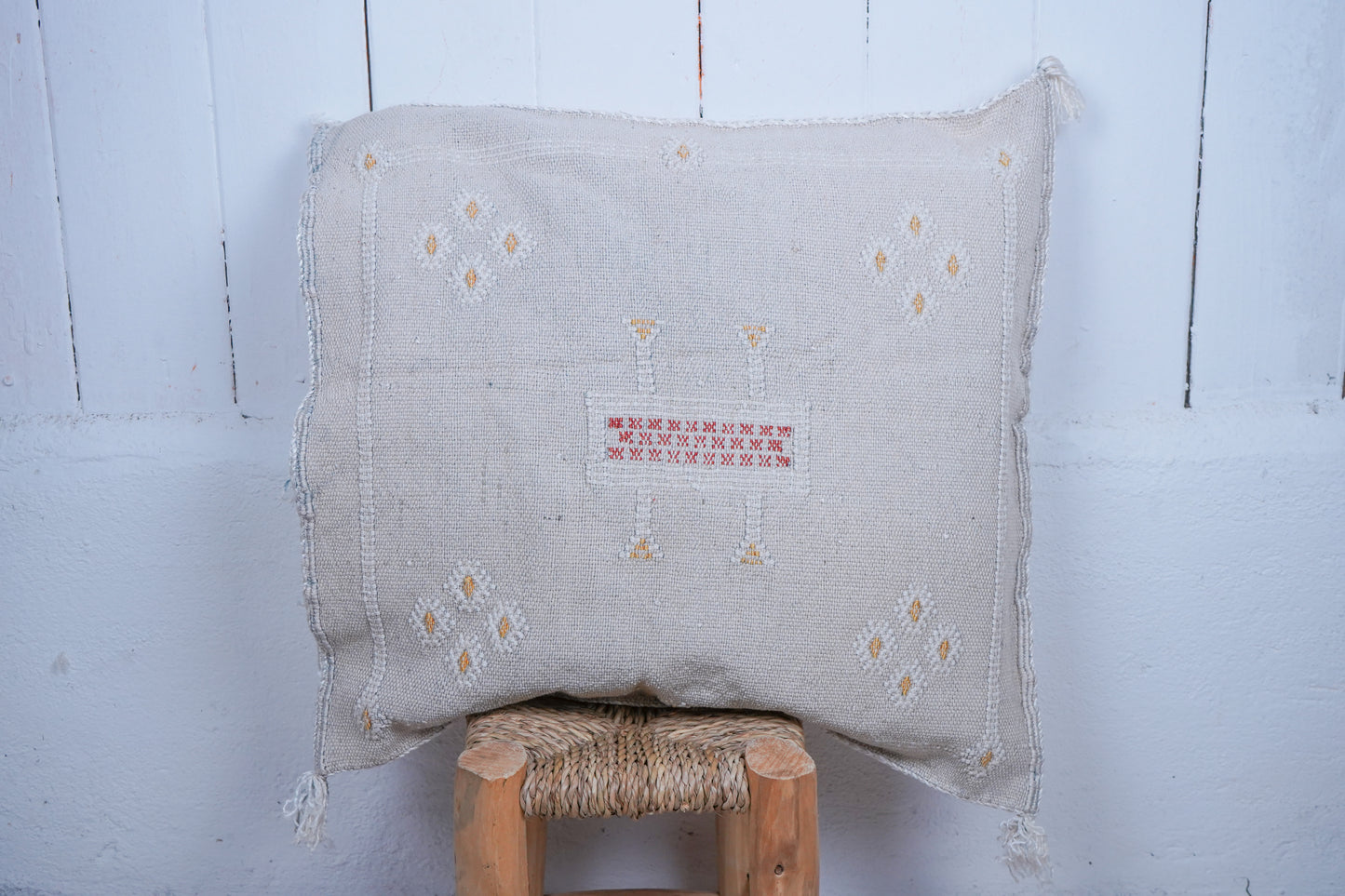 Moroccan boho cactus silk cushion