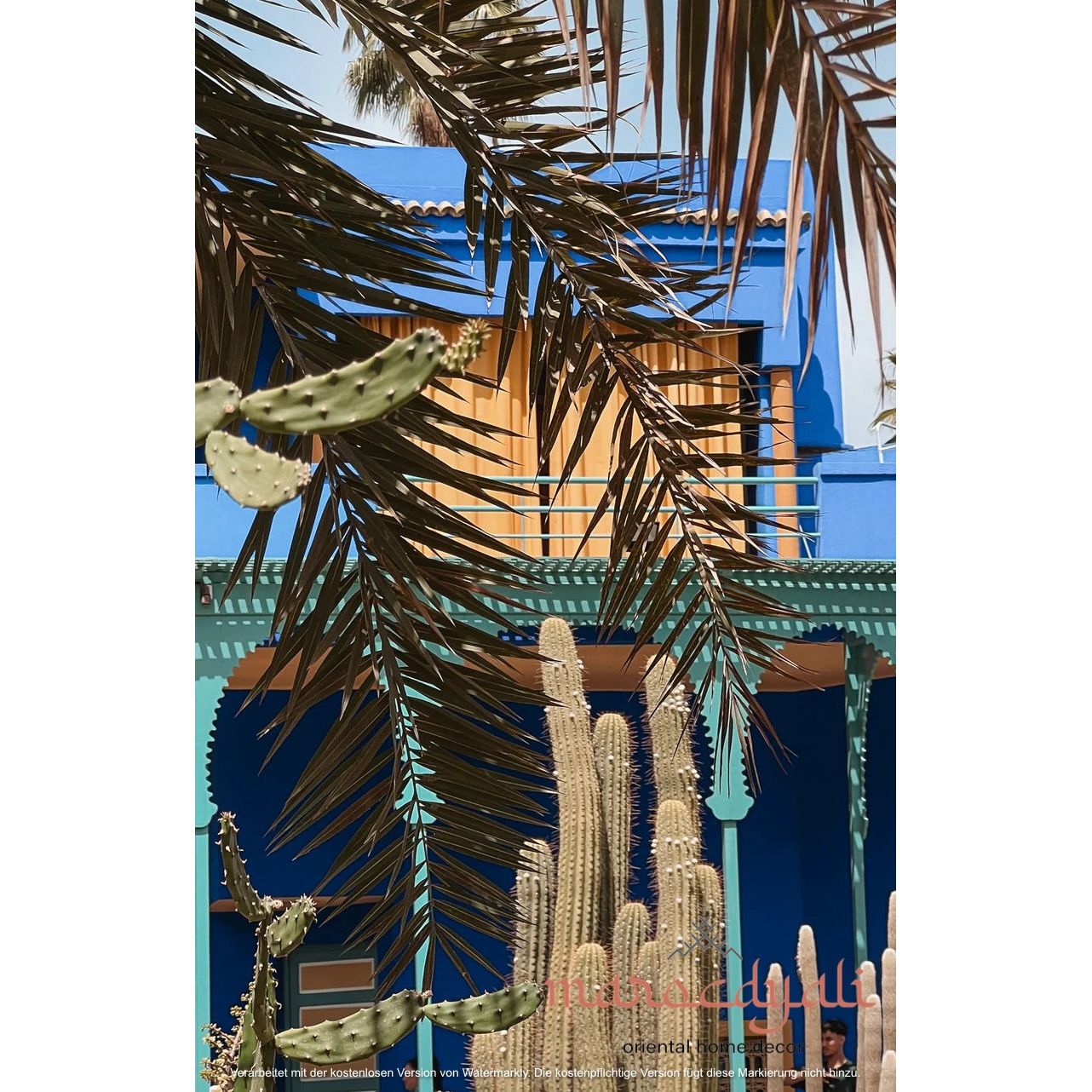 Jardin Majorelle Poster 1