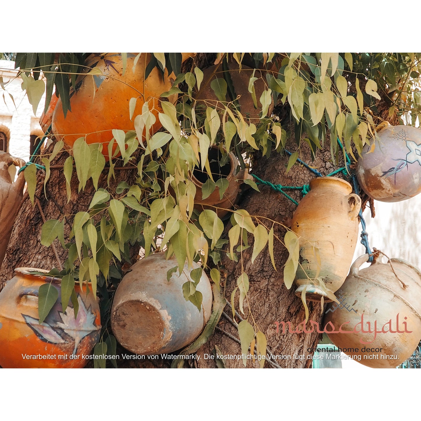 Vases on the Tree Poster