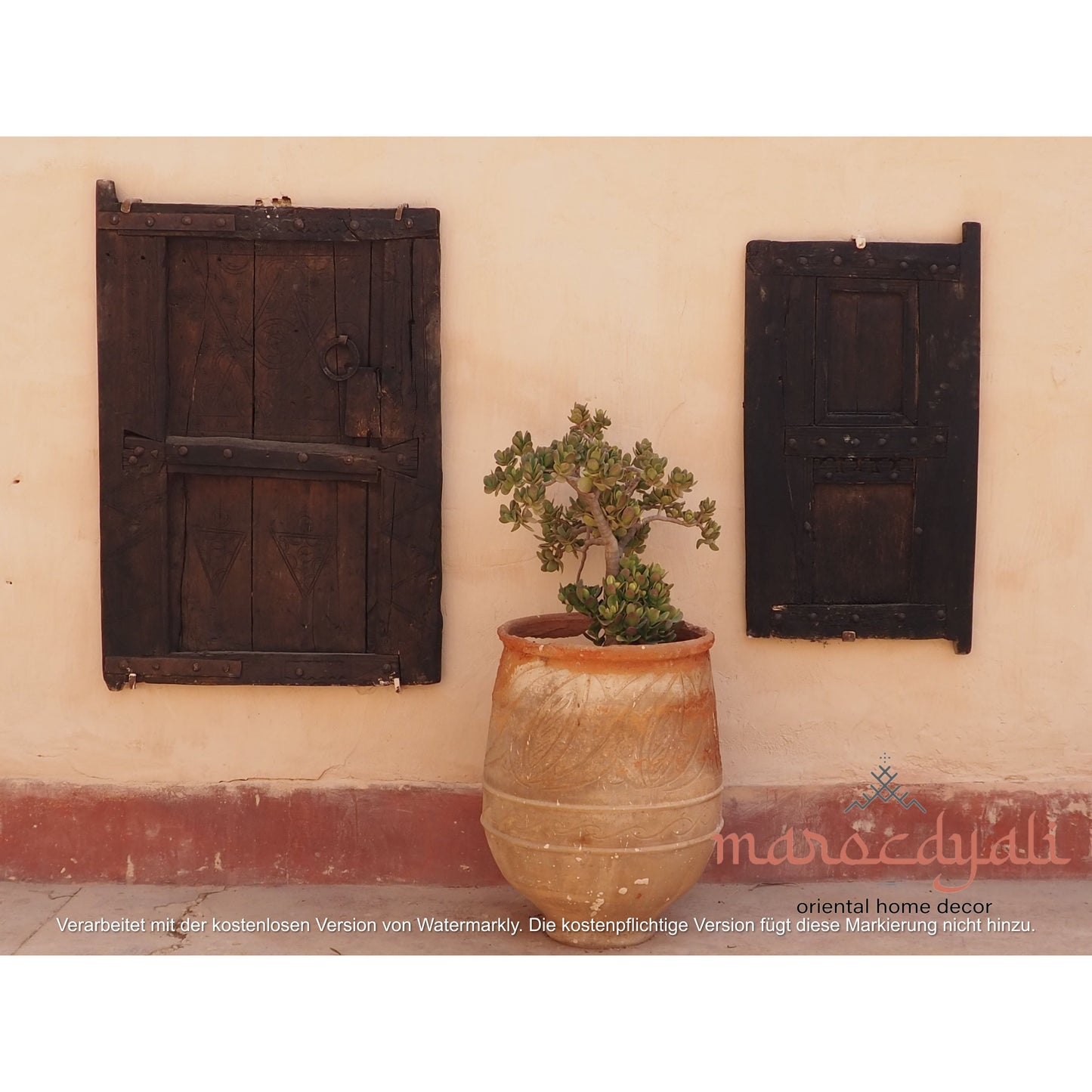 Plant in Pot Poster
