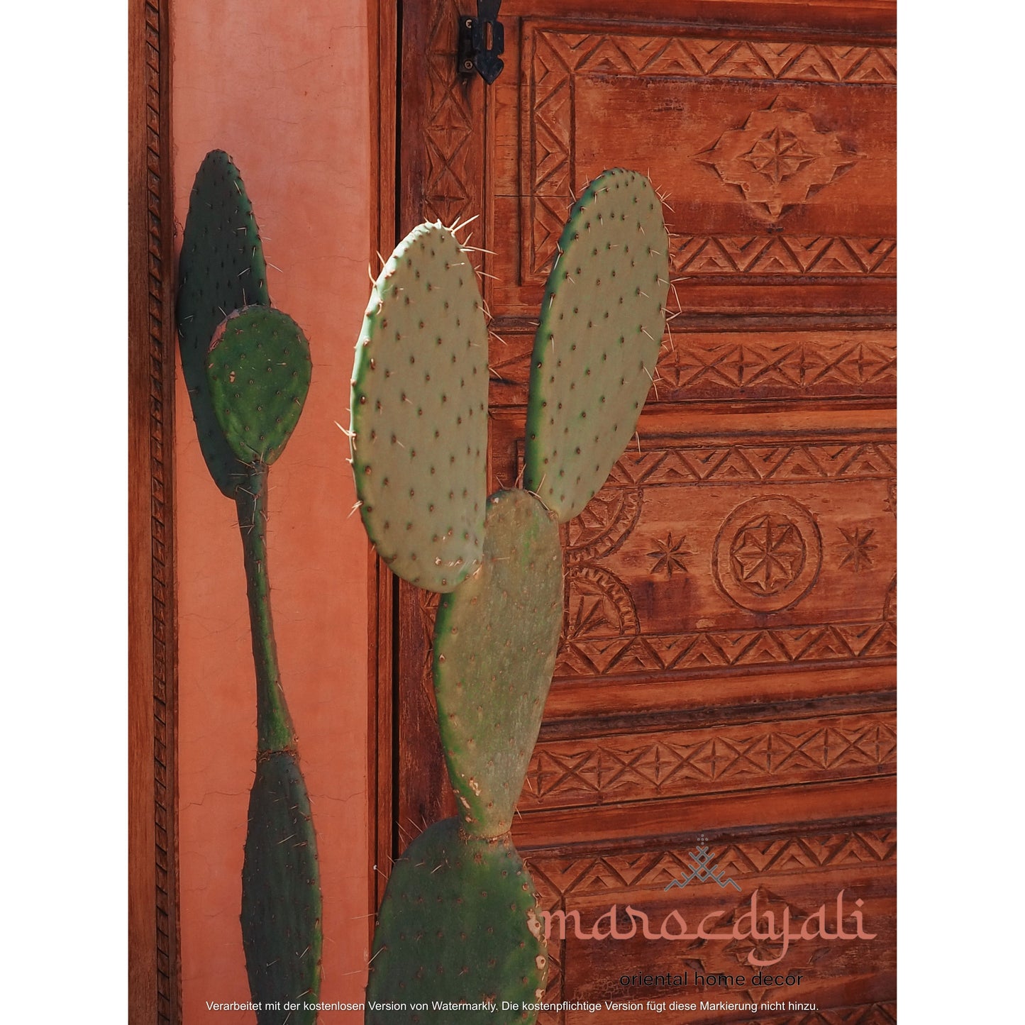 Kaktus vor Tür Poster