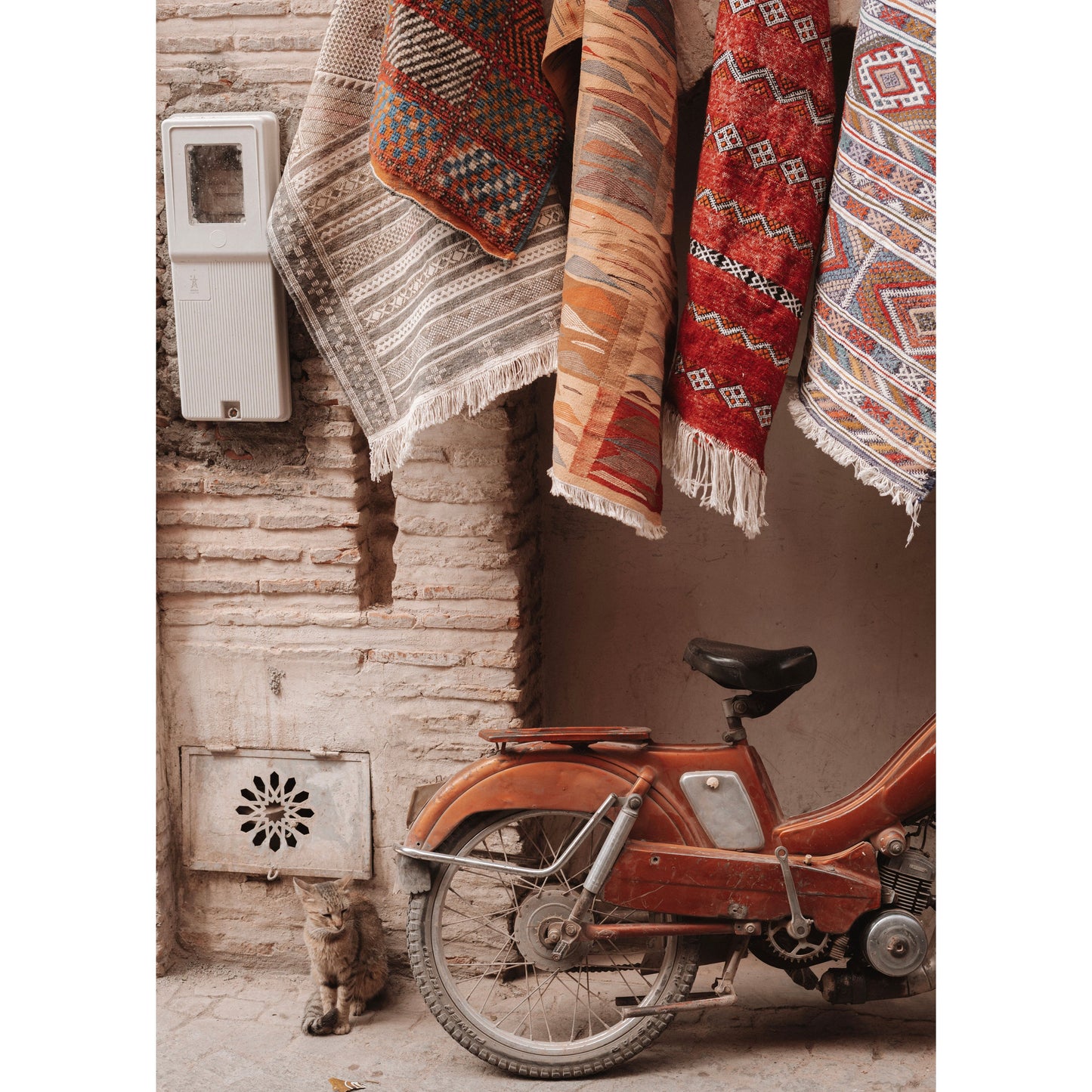 Cat with Carpet Poster