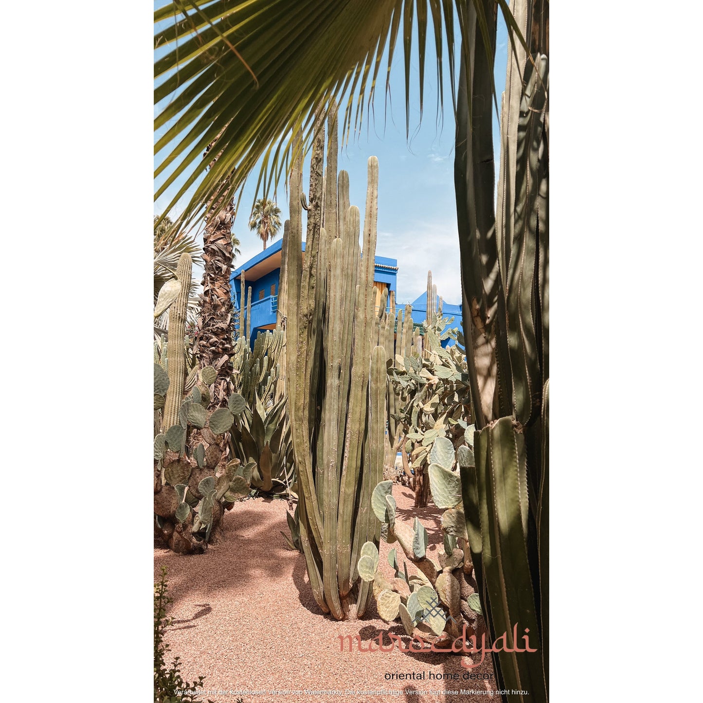 Majorelle Garden Poster 2