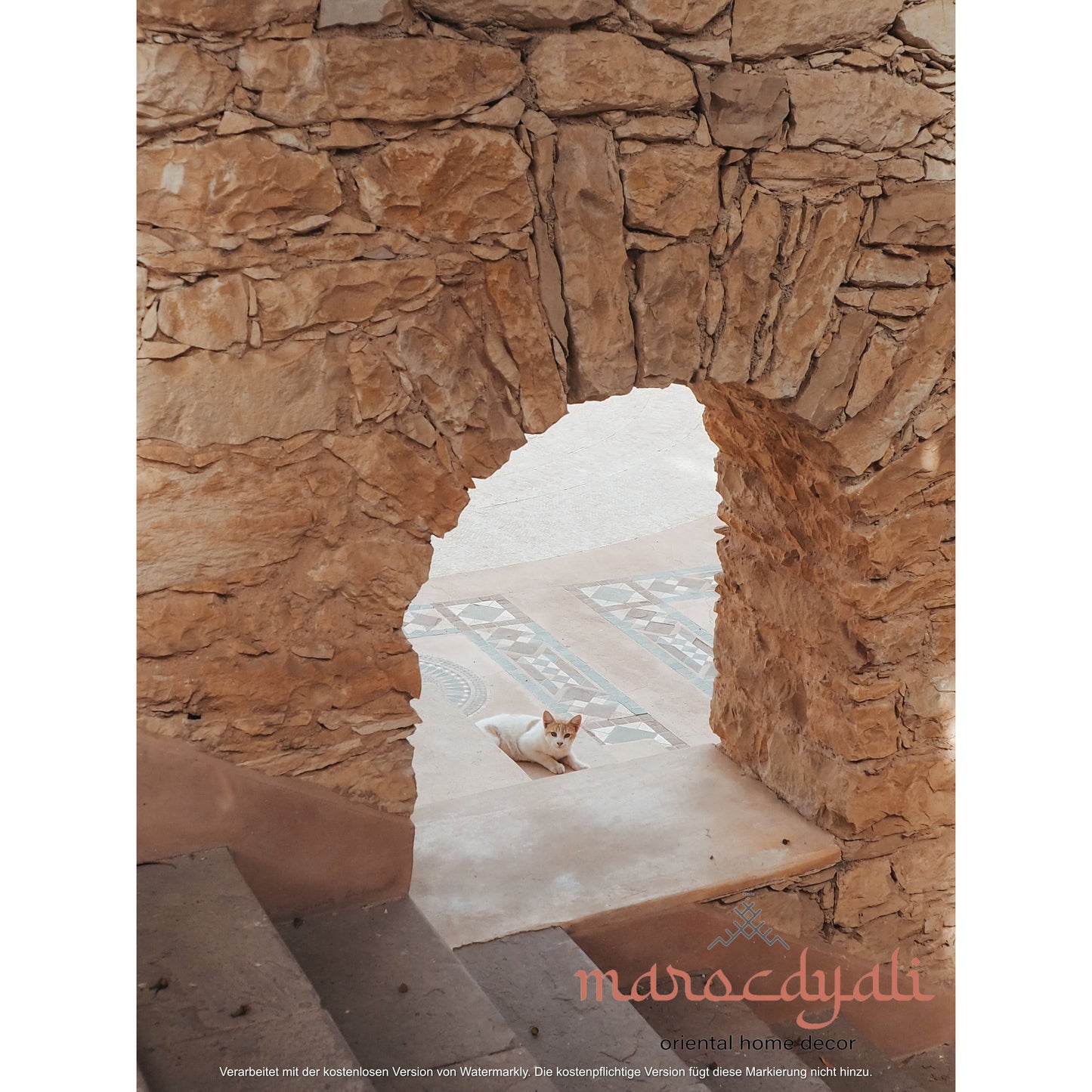 Cat in Stone Arch Poster