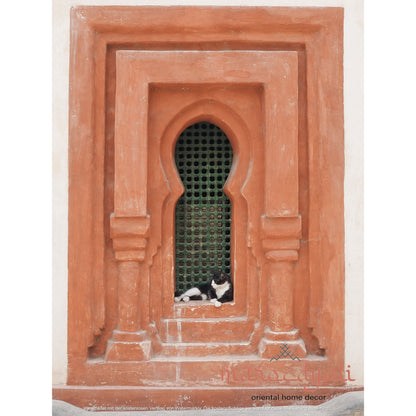 Cat in the window poster