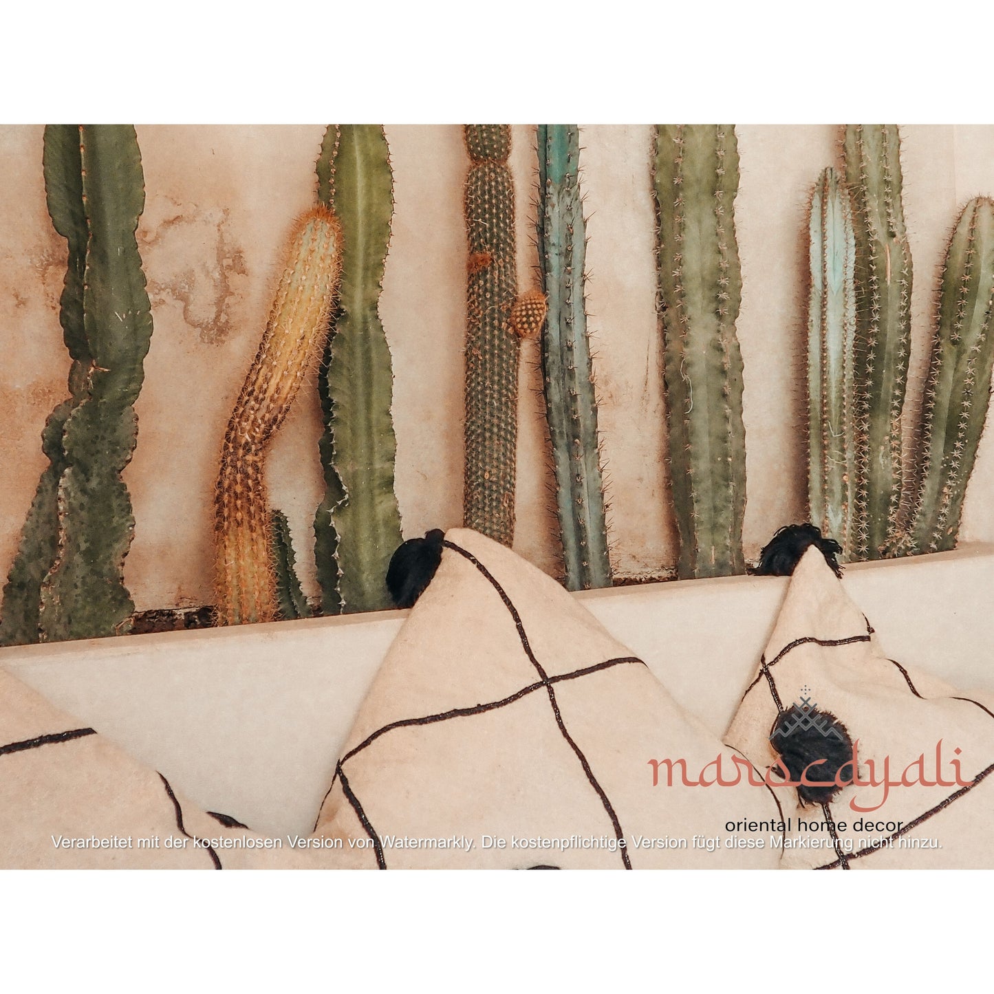Cacti with pillows poster