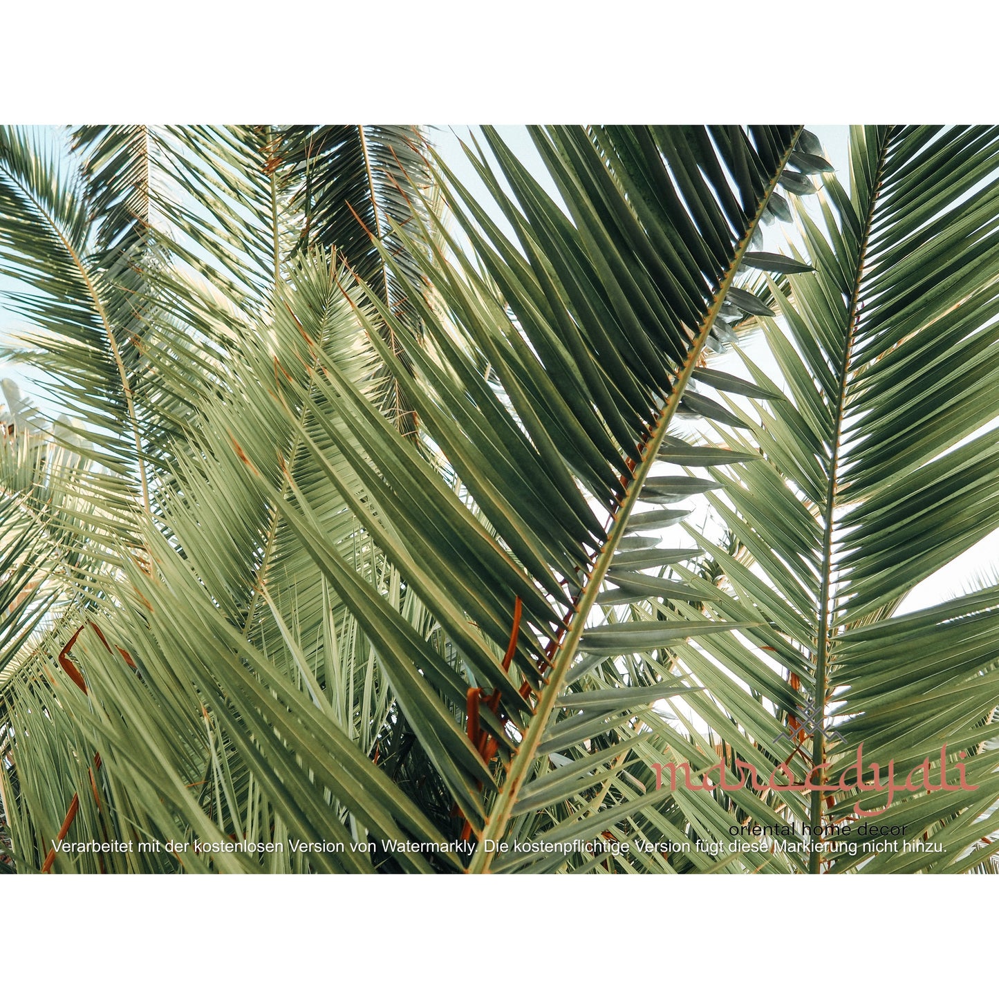 Palm leaves poster