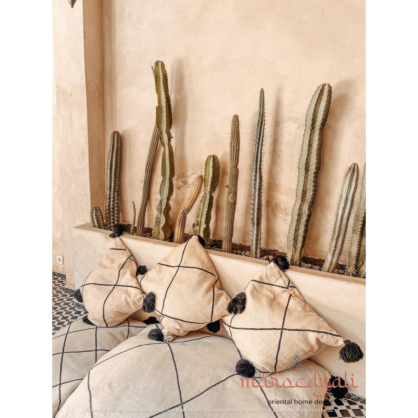 Cacti with Pillow Poster 2